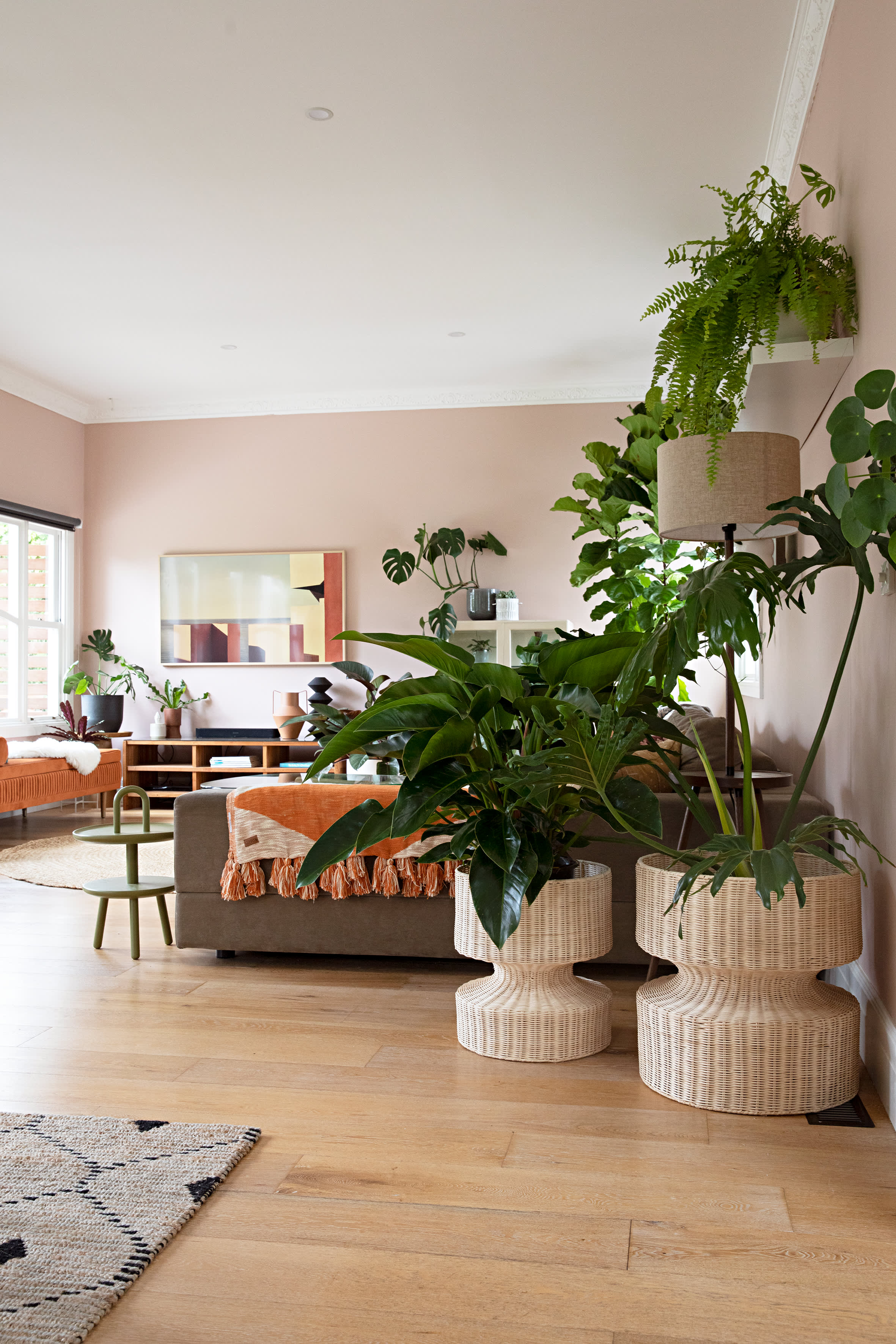 Into the Wild Plant Shop Owner Australia House Tour Photos Apartment